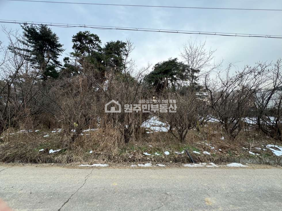 경기 화성만세구 향남읍 도이리 향남 자연취락 소형토지 매매, 소형창고, 전원주택부지 추천 매매 매물번호 10042 사진 3
