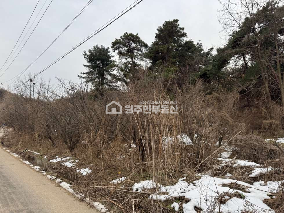 경기 화성만세구 향남읍 도이리 향남 자연취락 소형토지 매매, 소형창고, 전원주택부지 추천 매매 매물번호 10042 사진 4
