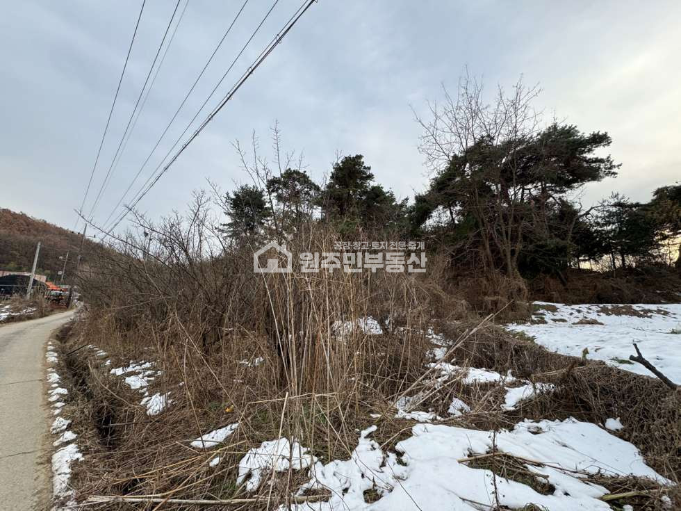 경기 화성만세구 향남읍 도이리 향남 자연취락 소형토지 매매, 소형창고, 전원주택부지 추천 매매 매물번호 10042 사진 7