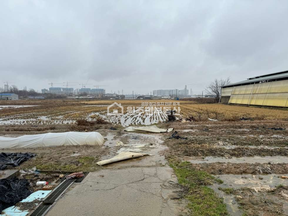 경기 평택시 고덕면 해창리 주1동 평택고덕신도시 인근 2차선도로변 농림지역 토지 매매, 주택, 창고있음 매매 매물번호 10045 사진 9