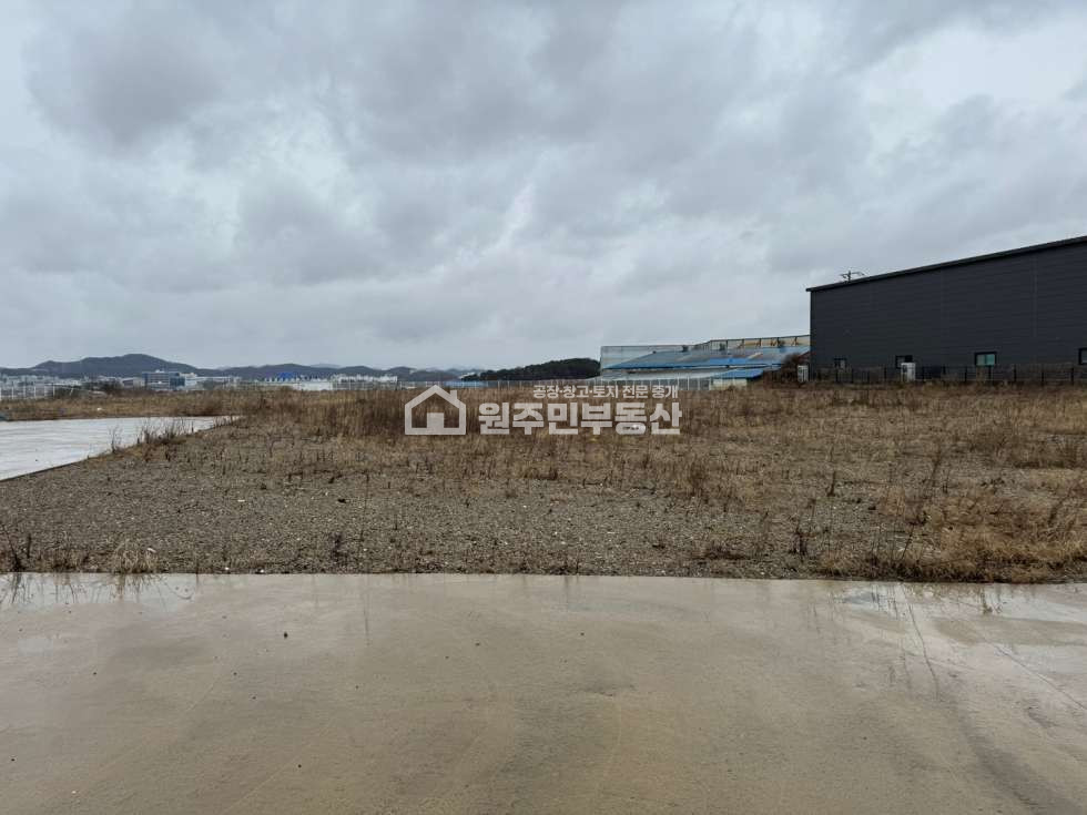 경기 평택시 서탄면 수월암리 가동 마당넓은 단독 신축건물 임대, 애견카페,글램핑,커피숍, 애견관련업 추천 월세 매물번호 10068 사진 9