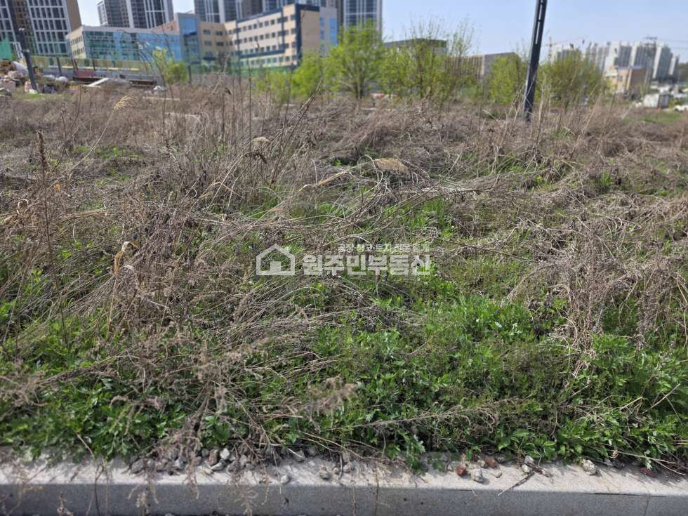 경기 오산시 탑동 세교신도시 대지76, 상가주택부지 매매, 4층건축가능 매매 매물번호 10082 사진 4
