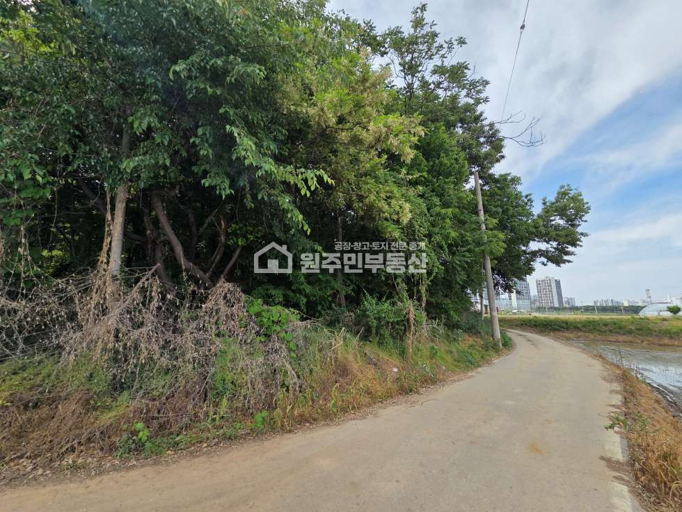 경기 평택시 서탄면 수월암리 평택 토지매매, 보전관리 임야 4,601P. 세교신도시인접, 매매 매물번호 10094 사진 5