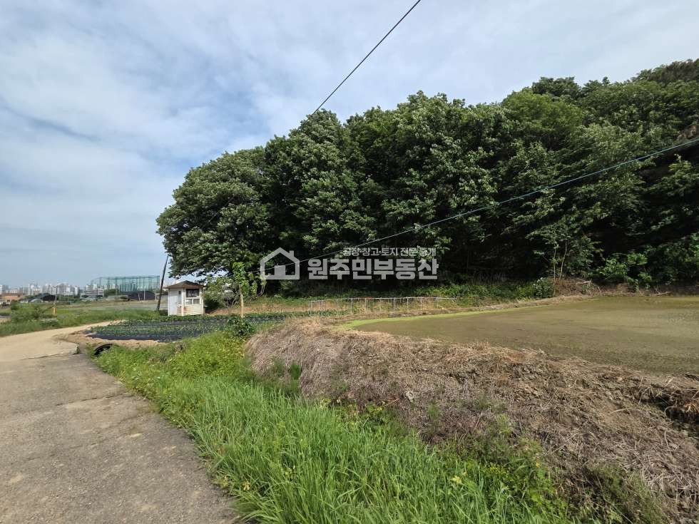 경기 평택시 서탄면 수월암리 평택 토지매매, 보전관리 임야 4,601P. 세교신도시인접, 매매 매물번호 10094 사진 6